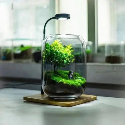 3W Desktop Usb Light with Wooden Base For Aquarium / Fish