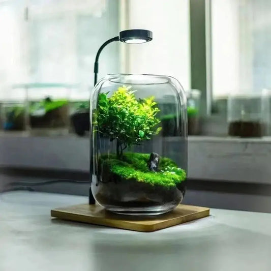 3W Desktop Usb Light with Wooden Base For Aquarium / Fish