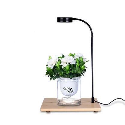 3W Desktop Usb Light with Wooden Base For Aquarium / Fish