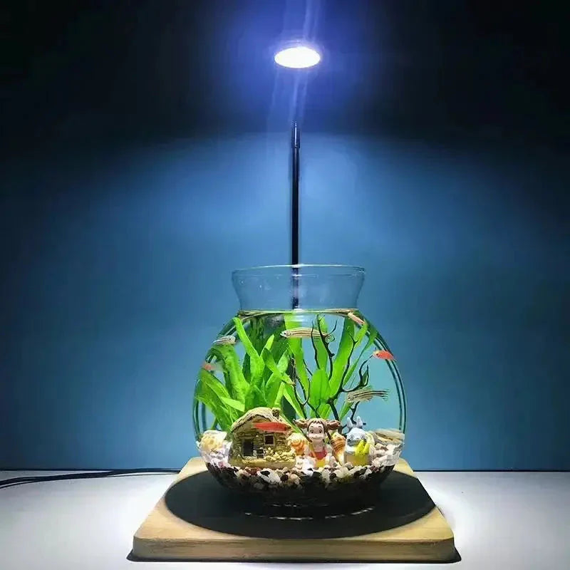 3W Desktop Usb Light with Wooden Base For Aquarium / Fish