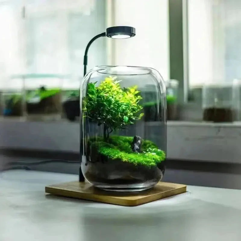 3W Desktop Usb Light with Wooden Base For Aquarium / Fish