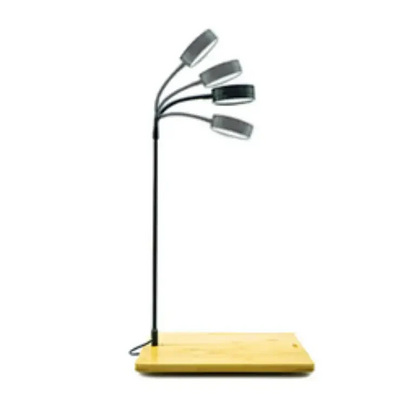 3W Desktop Usb Light with Wooden Base For Aquarium / Fish