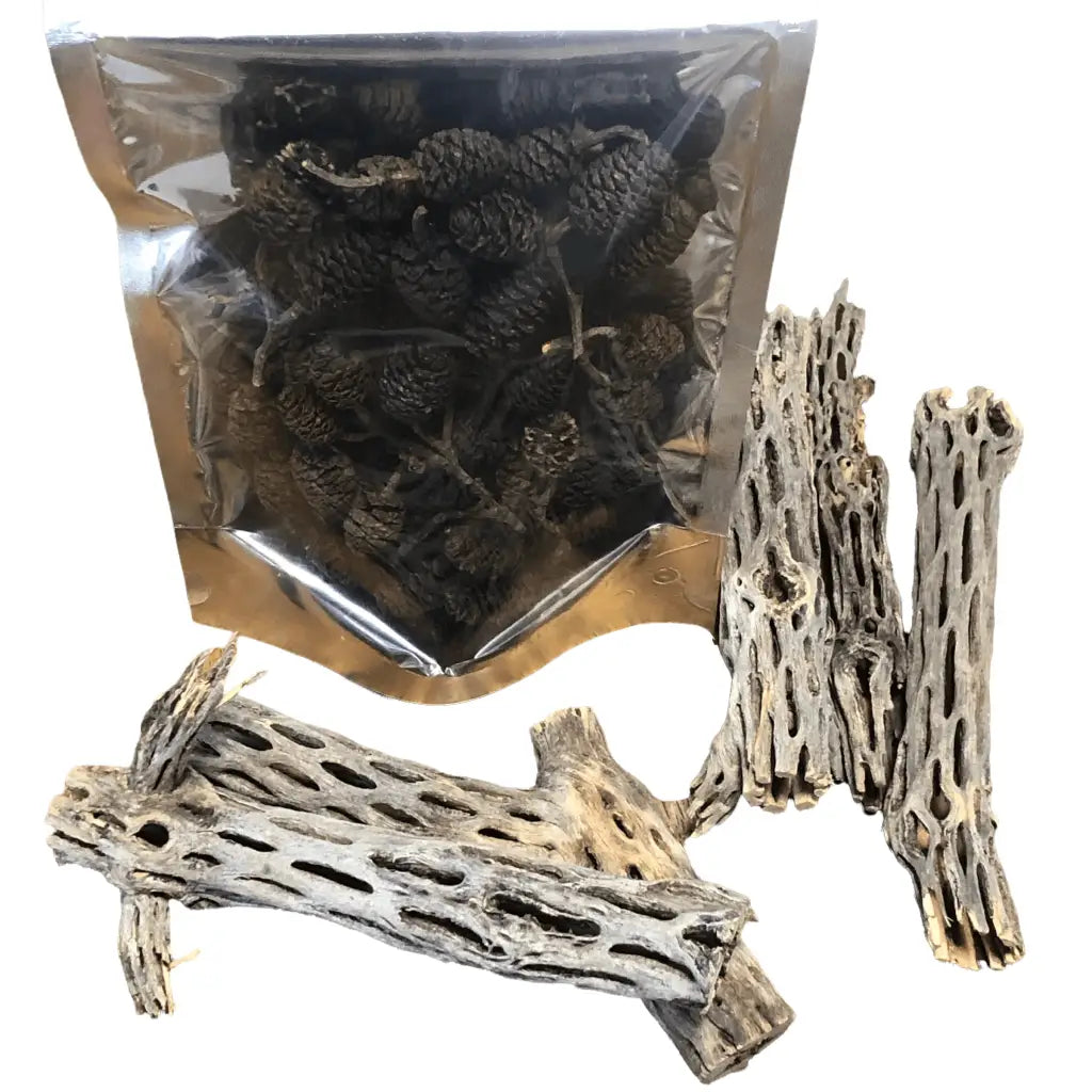 Deal : 5x Cholla Wood + Pack of Alder Cones 12pcs