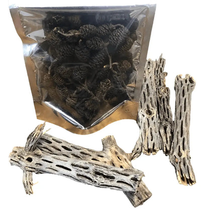 Deal : 5x Cholla Wood + Pack of Alder Cones 12pcs