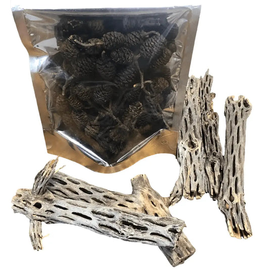 Deal : 5x Cholla Wood + Pack of Alder Cones 12pcs
