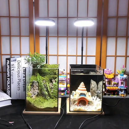 3W Desktop Usb Light with Wooden Base For Aquarium / Fish