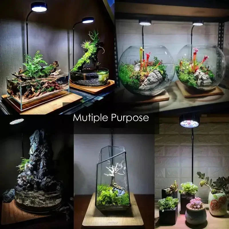 3W Desktop Usb Light with Wooden Base For Aquarium / Fish