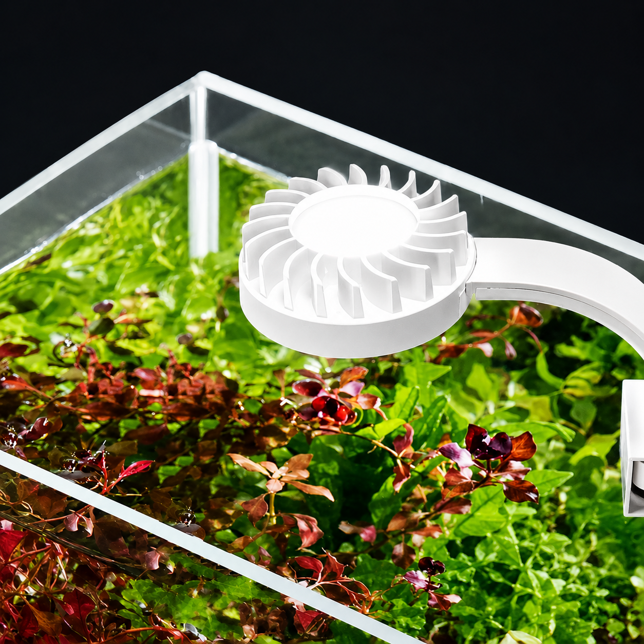 Round white Clip On Led Light  L(L10)