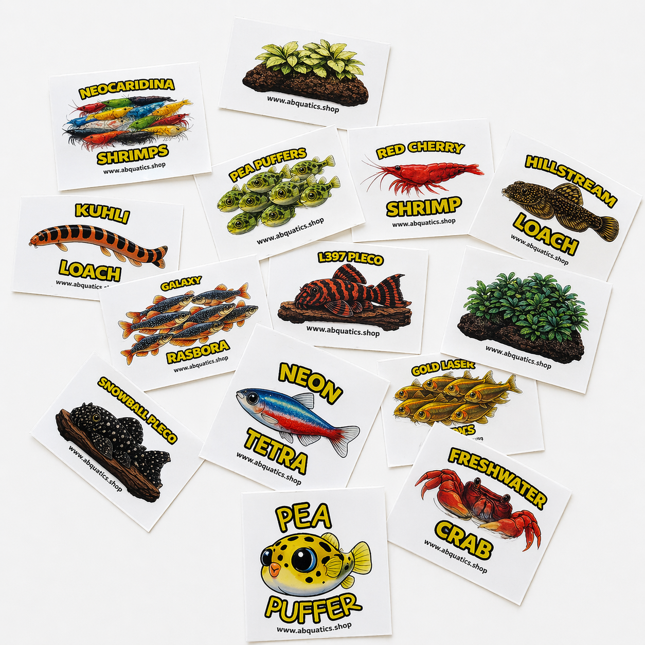 ABQUATICS Assorted Stickers ( Pack of 10 )