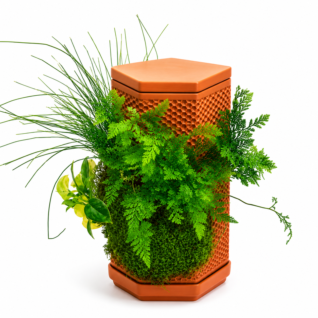 Self-Watering Terracotta Ceramic Planter