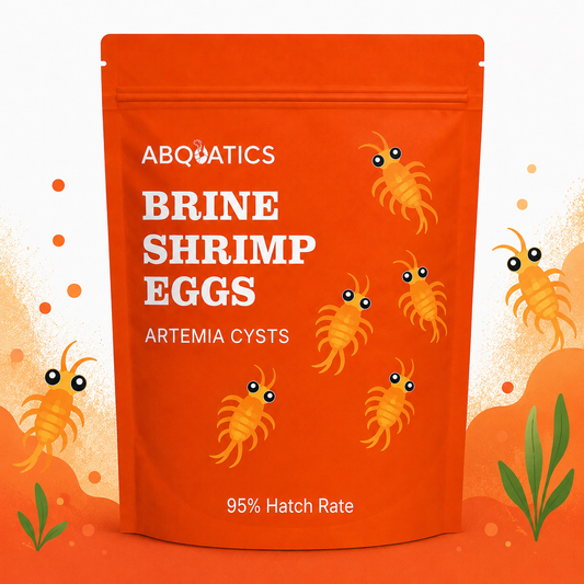 Artimia Brine Eggs Shrimp Cysts (95% Hatch Rate)