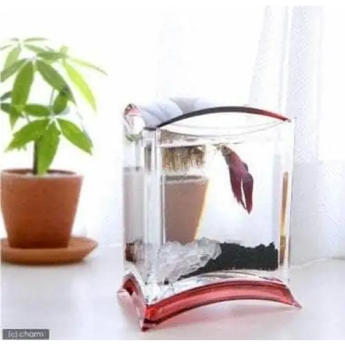 Acrylica Betta fish House Green