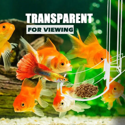 Transparent fish feeder for aquariums.