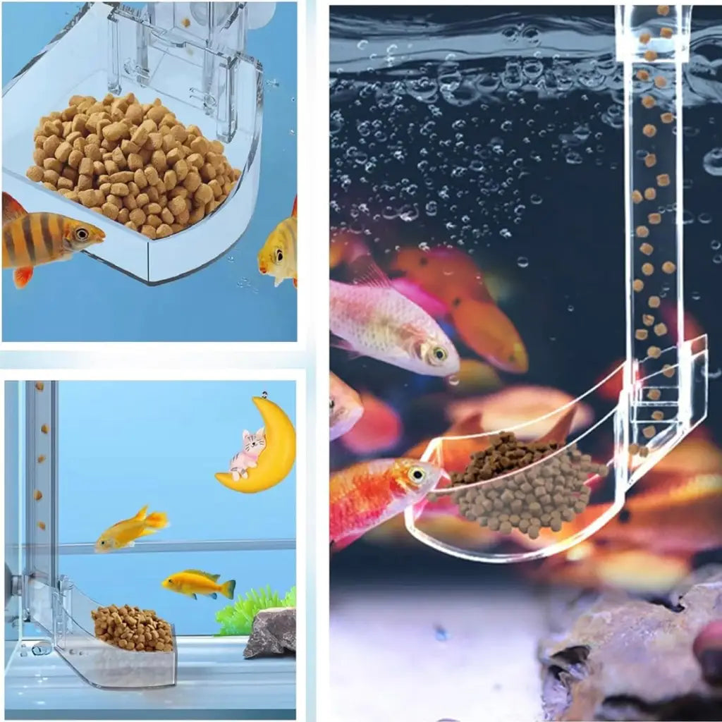 Clear acrylic fish feeder with various food pellets.