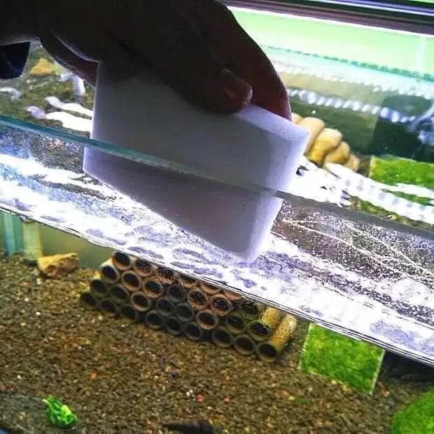 White rectangular cleaning sponge.