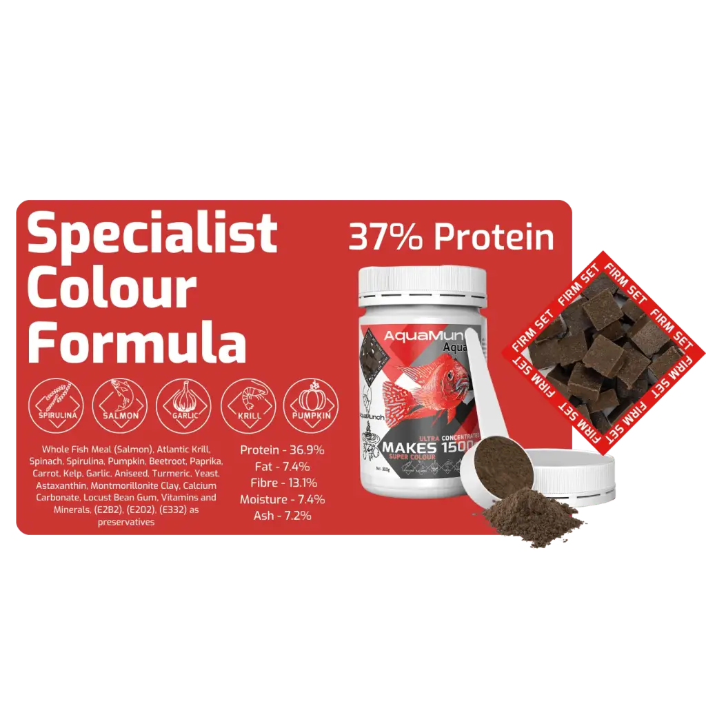AquaMunch AquaGel Fish Food - Super Color