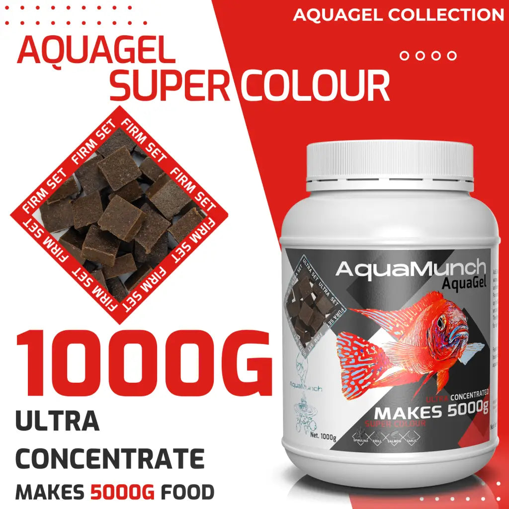 AquaMunch AquaGel Fish Food - Super Color