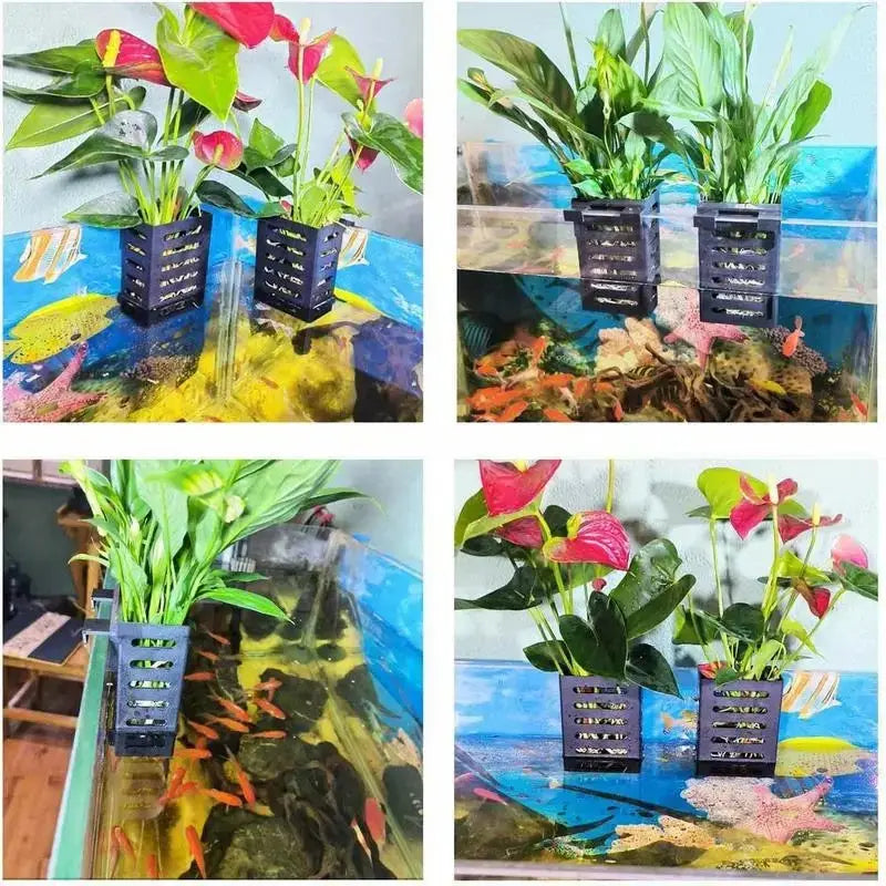 Aquarium Emersed Plant / Pothos Holder
