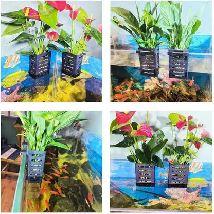 Aquarium Emersed Plant / Pothos Holder