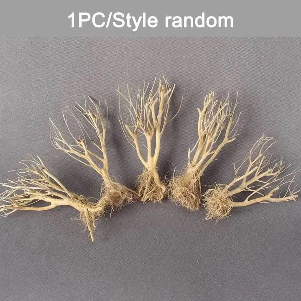 Miniature bare trees with roots.
