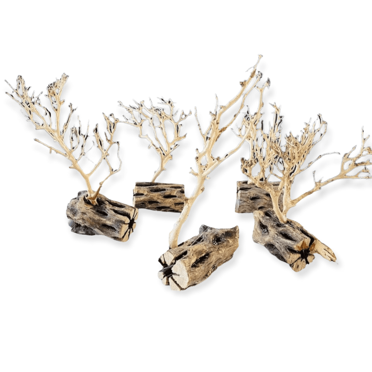 Aquarium driftwood decorations.