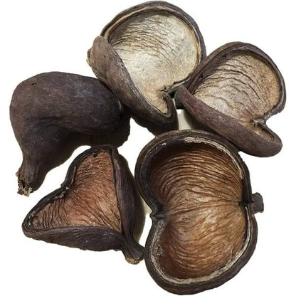 Dried, dark brown heart-shaped seed pods with textured inner surfaces.