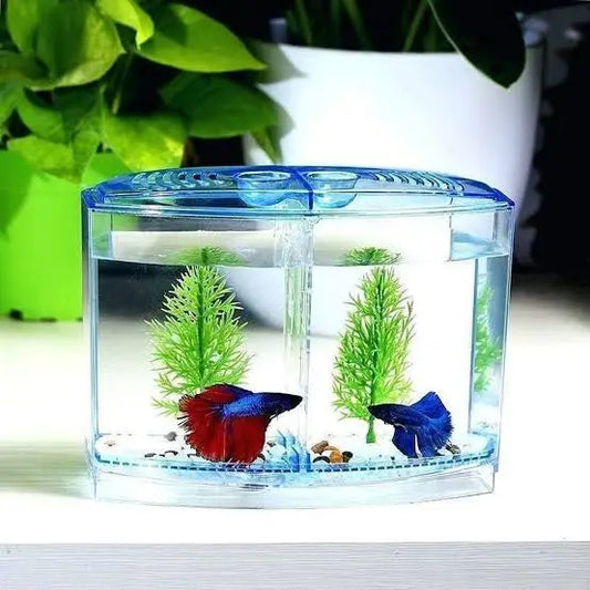Betta House Double