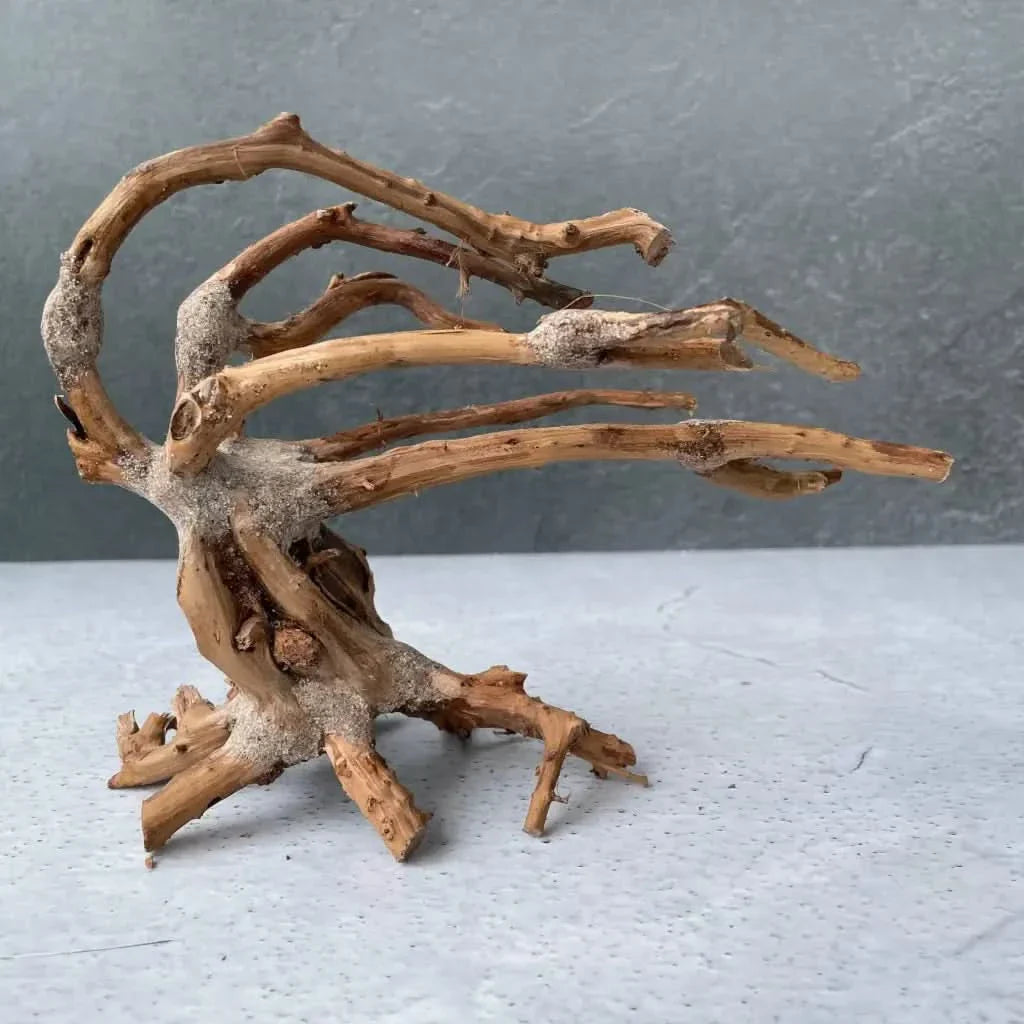 Intricate driftwood sculpture.