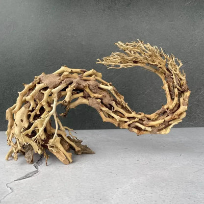 Intricate, curved driftwood sculpture.