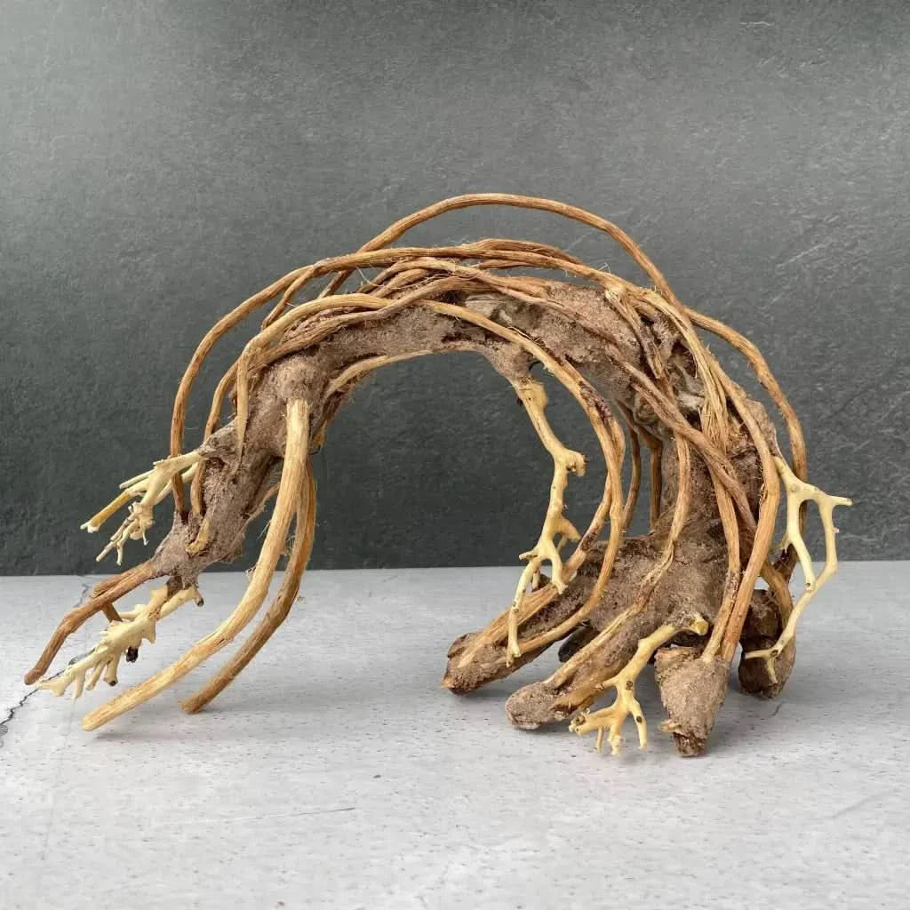 Arched driftwood aquarium decoration.