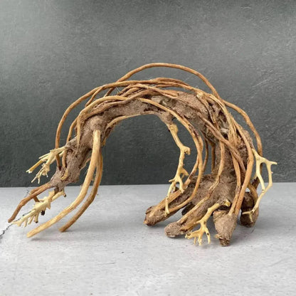 Arched driftwood aquarium decoration.