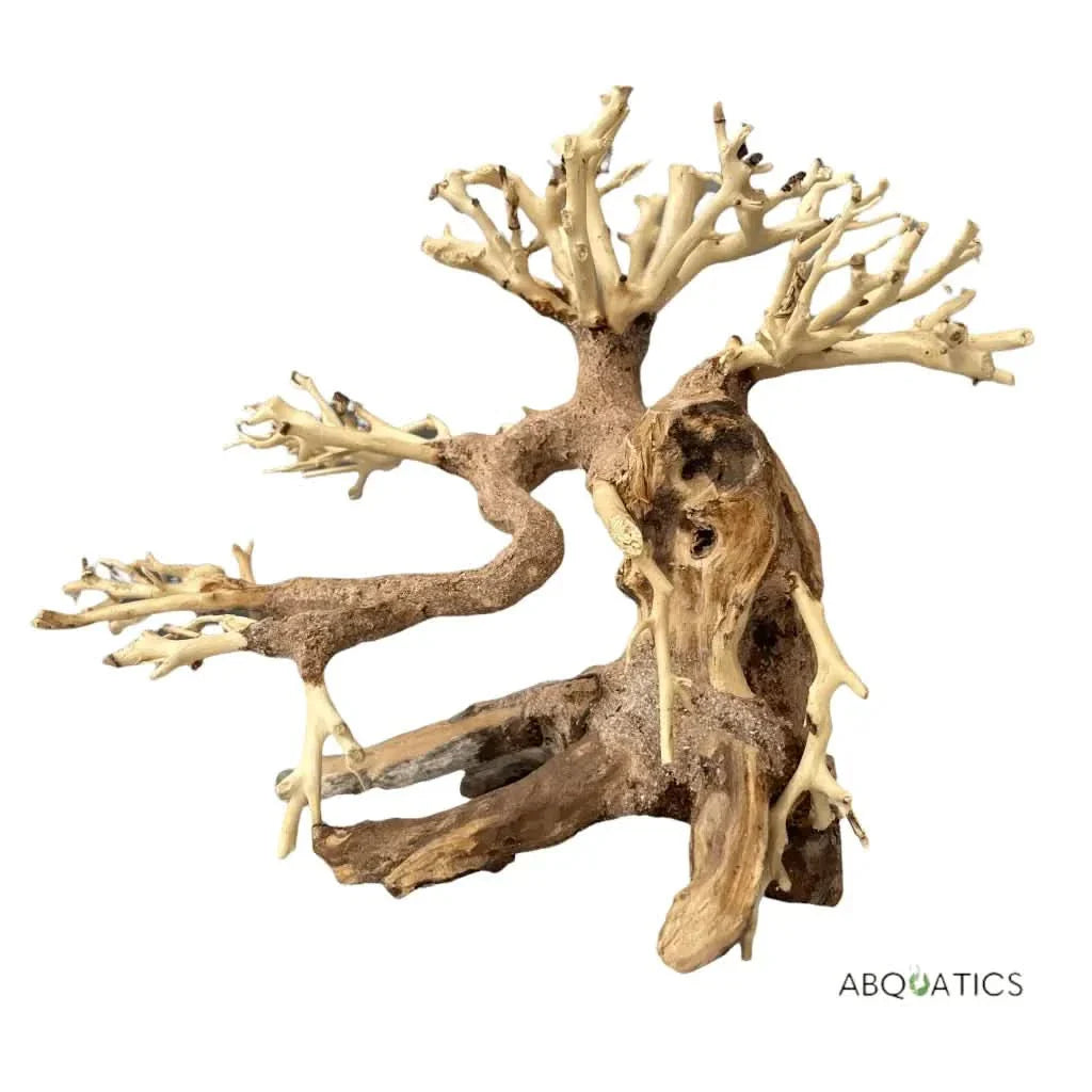 Bonsai-shaped driftwood decoration.