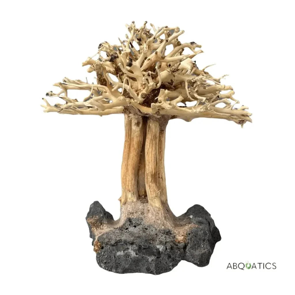 Aquarium bonsai tree decoration.