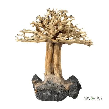 Aquarium bonsai tree decoration.