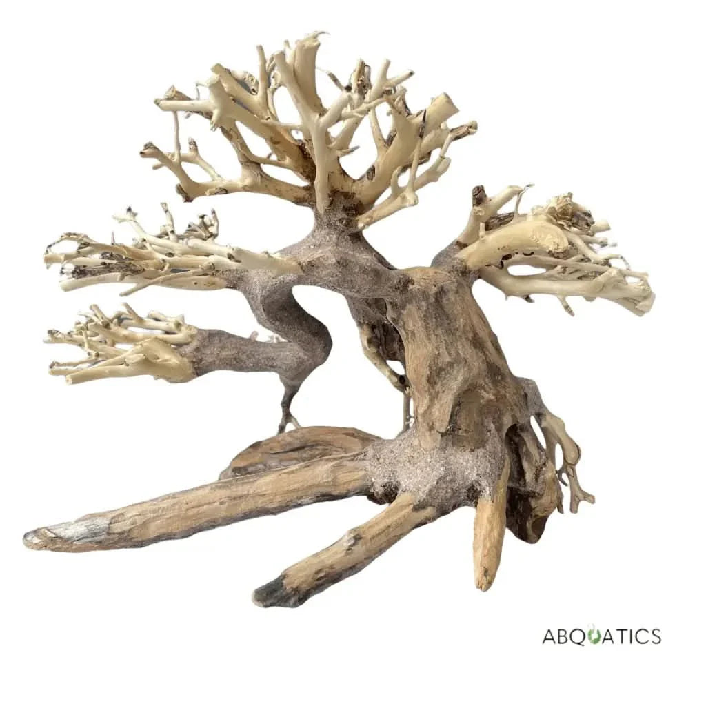 Driftwood bonsai tree.