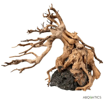 Aquarium driftwood on volcanic rock.