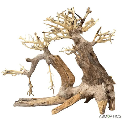 Bonsai-shaped driftwood.