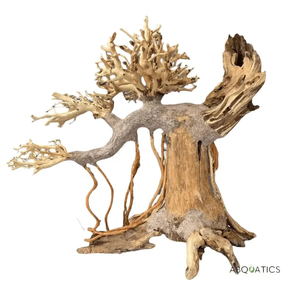 Bonsai-shaped driftwood aquarium decoration.