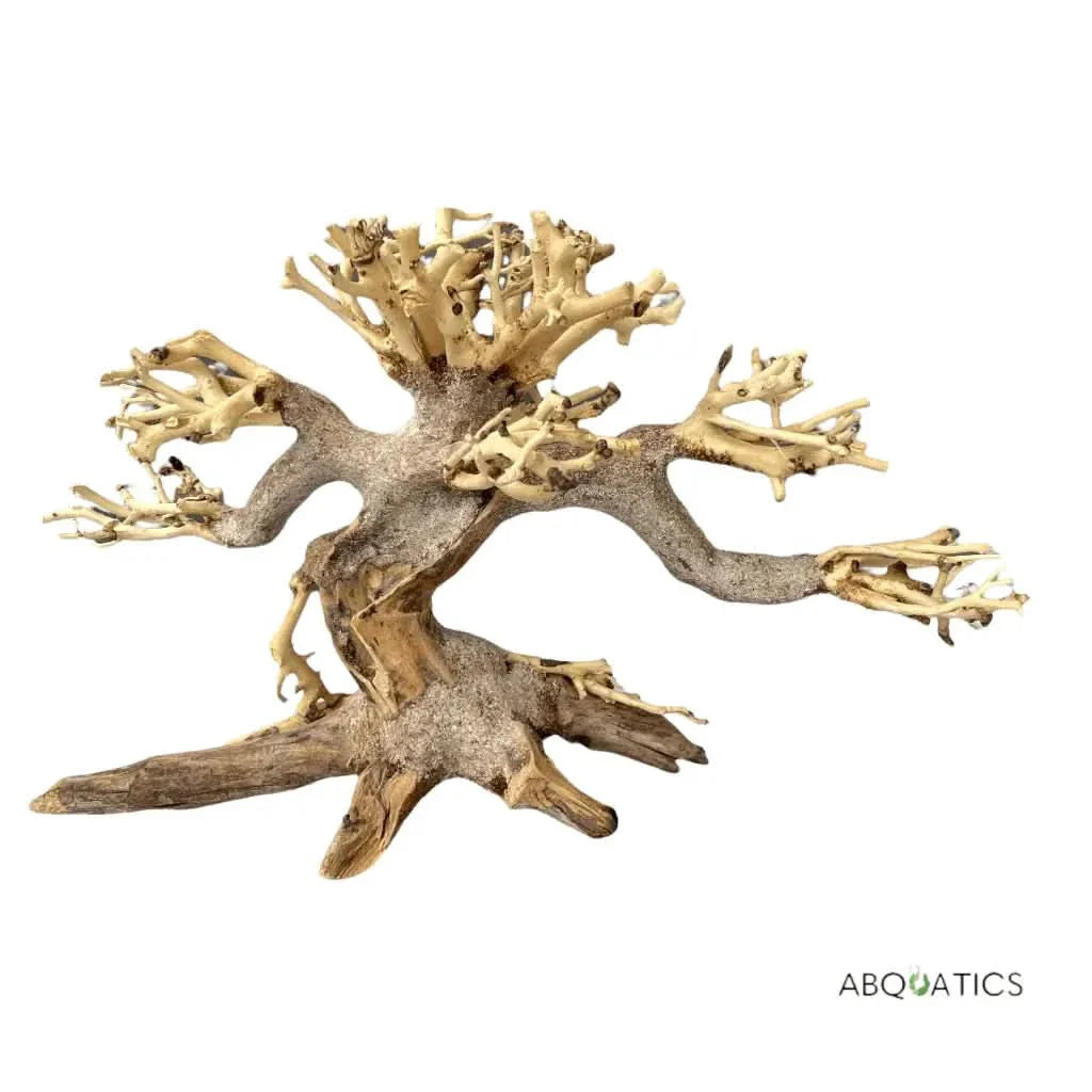 Aquarium bonsai driftwood.