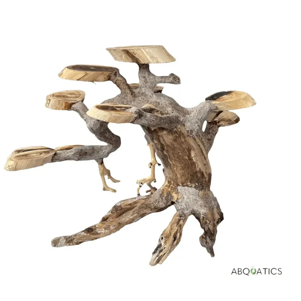 Driftwood bonsai tree sculpture.
