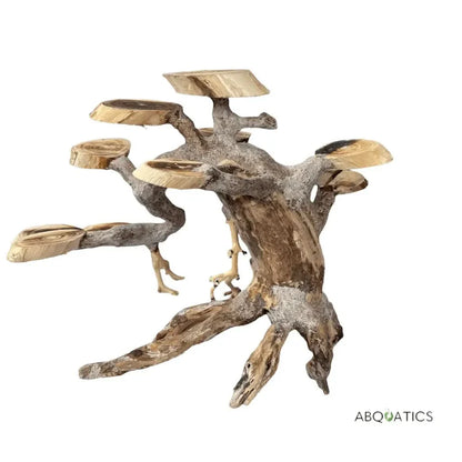Driftwood bonsai tree sculpture.
