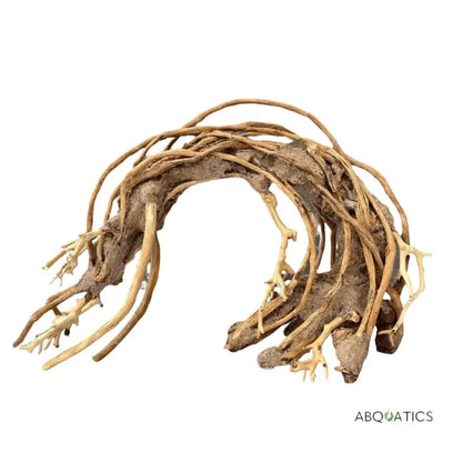 Arched driftwood with dangling roots.
