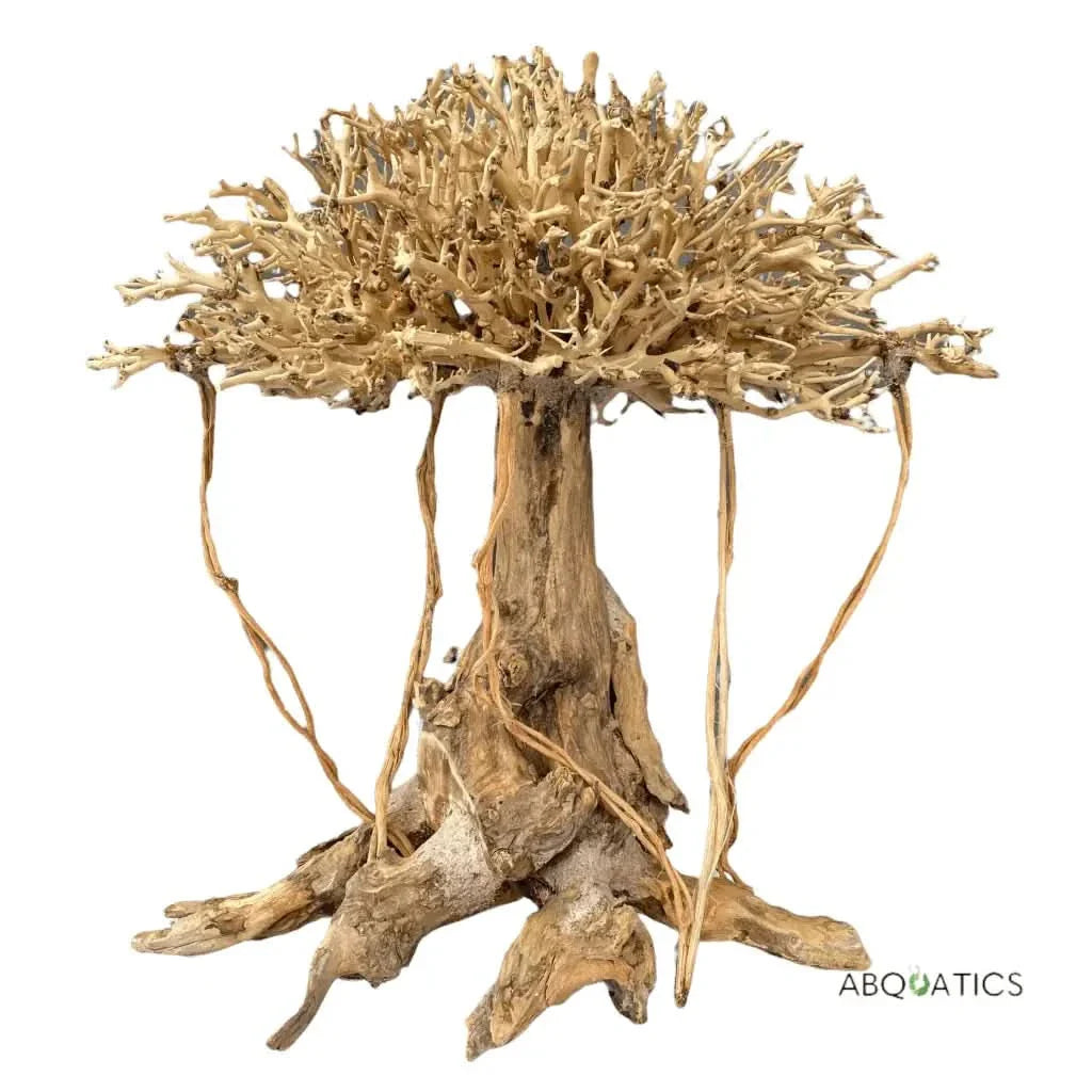 Aquarium bonsai driftwood tree.