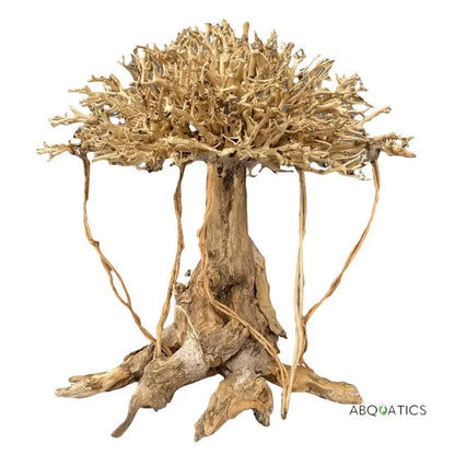 Aquarium bonsai driftwood tree.