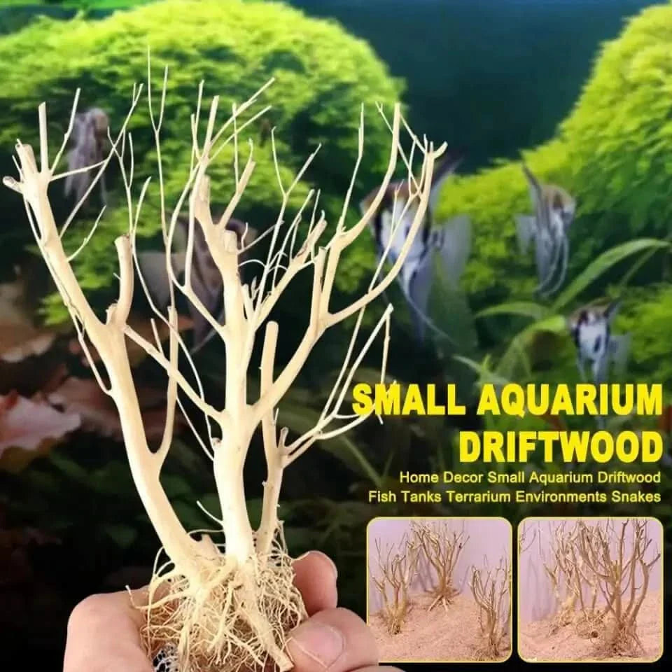 Small aquarium driftwood.