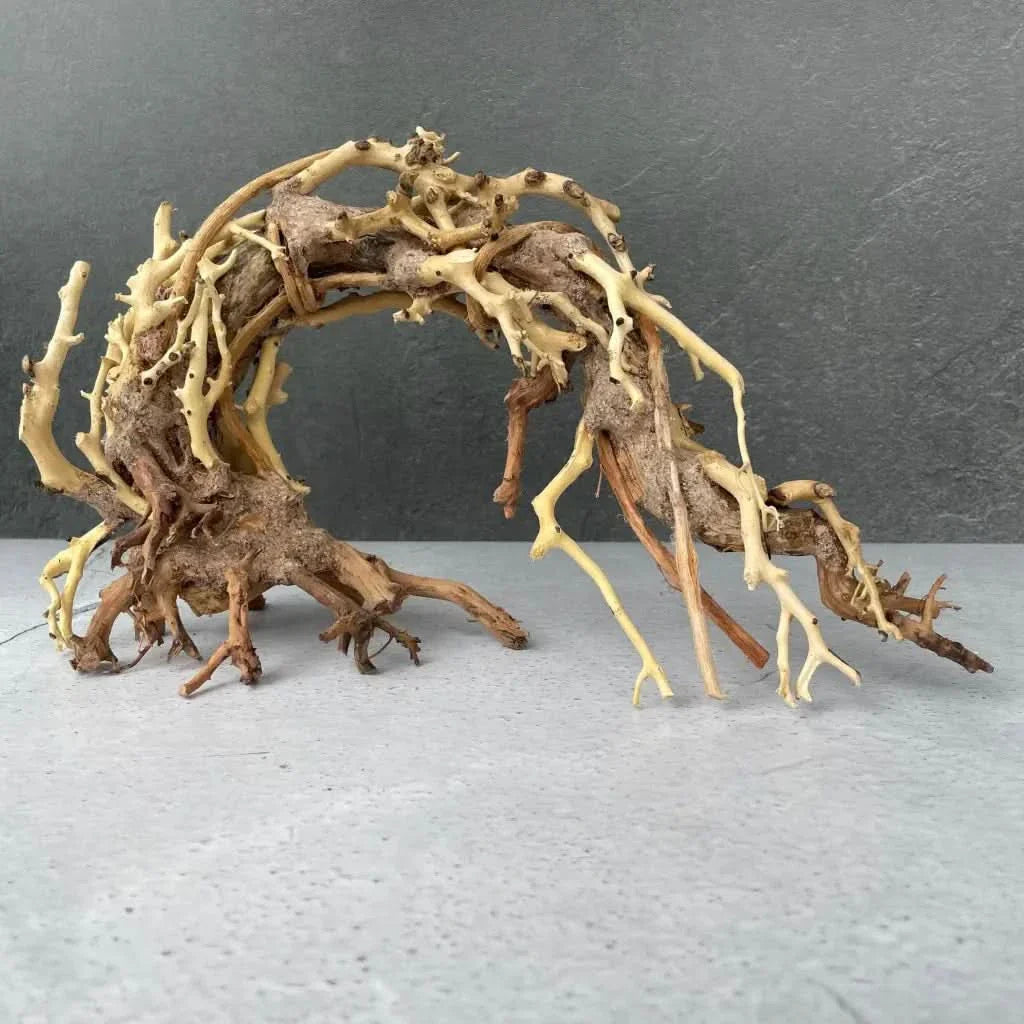 Arched driftwood sculpture.