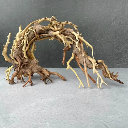 Arched driftwood sculpture.