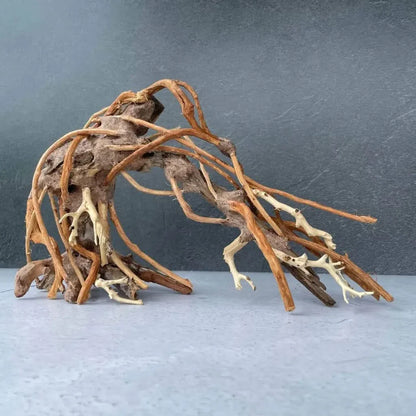Intricate driftwood sculpture with root-like extensions.