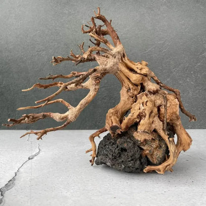 Intricate driftwood sculpture on porous rock.
