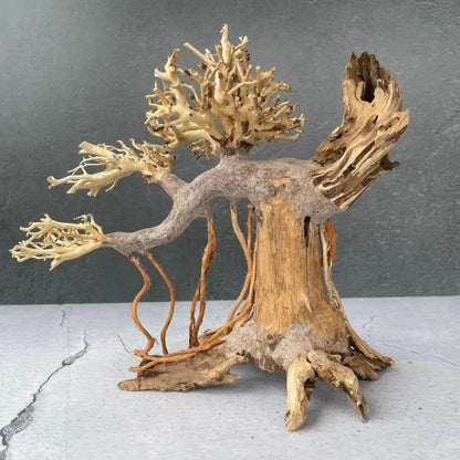 Miniature driftwood bonsai tree.